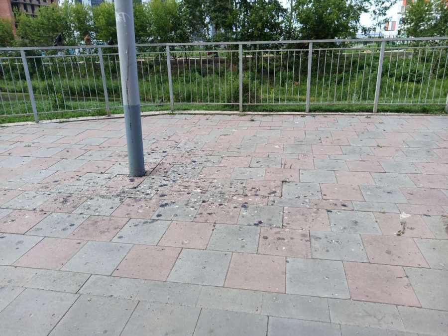 Проблема с любителями покормить птичек - свежие новости на Toplenta по теме Станция