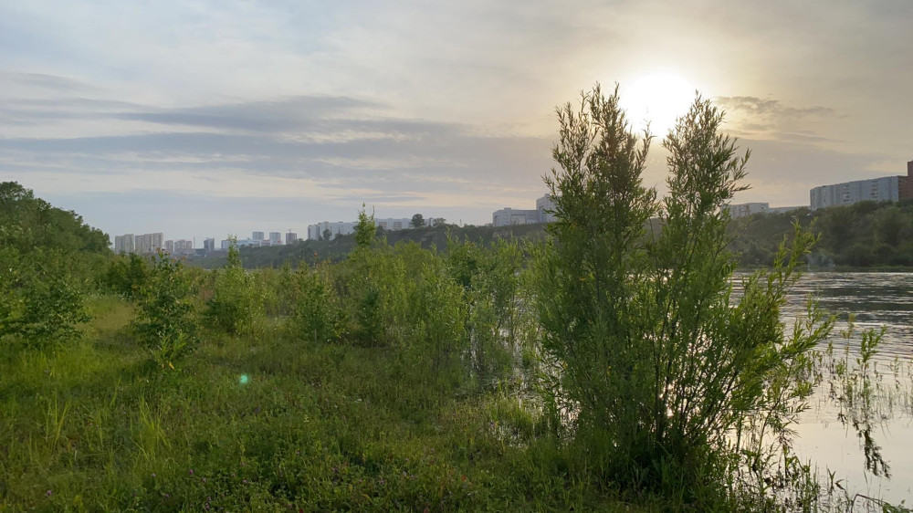 Прогулка по острову Татышев в Красноярске - свежие новости на Toplenta по теме си