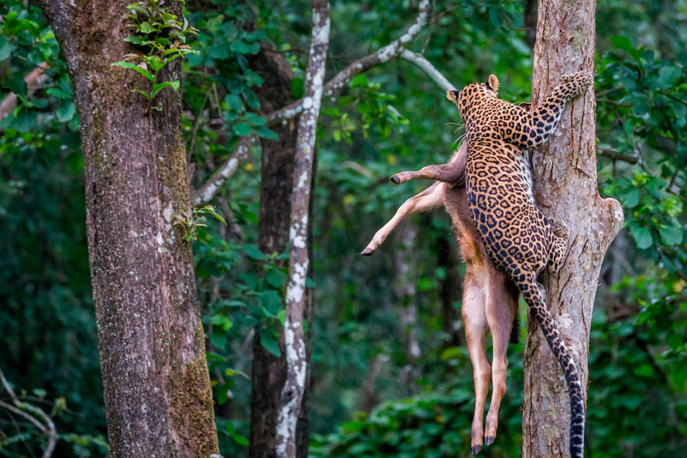 Фоторепортаж: Бангладеш - интересная страна и для юных натуралистов, и для опытных путешественников - свежие новости на Toplenta по теме r