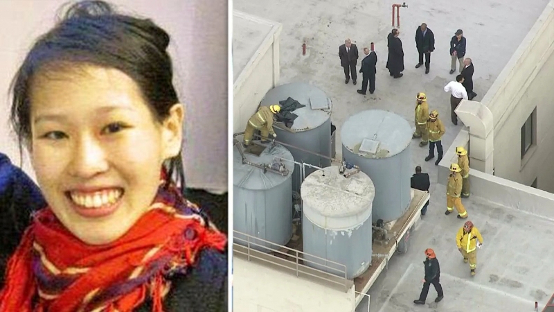 Тайна смерти Элизы Лэм: несчастный случай, убийство или проклятие старого отеля? - свежие новости на Toplenta по теме тв