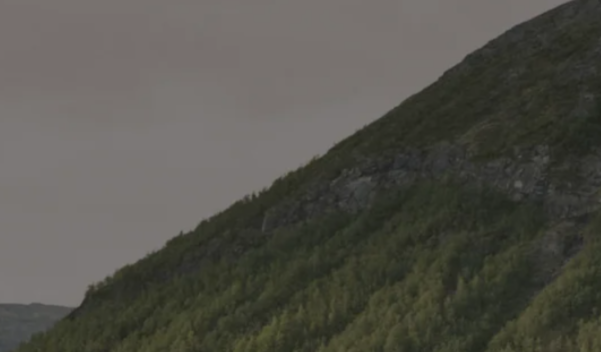 Выставка «Утопия, Аркадия и реальность» открылась в Екатеринбурге - свежие новости на Toplenta по теме Пушкин