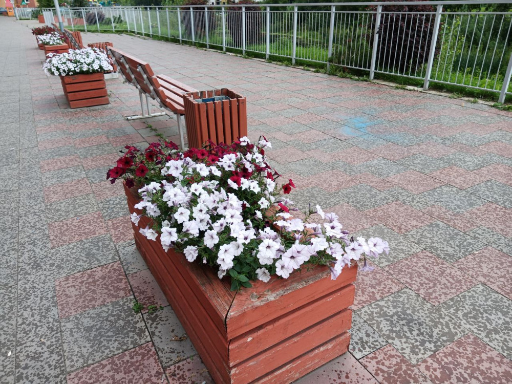 Прогулка вкруг озера близ станции Енисей под летним дождиком - свежие новости на Toplenta по теме Станция