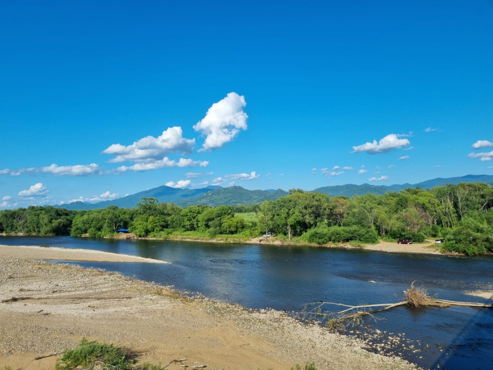 Речка в Приморском крае.. - свежие новости на Toplenta по теме Приморский край