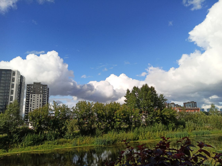 Утренняя прогулка около озера близ станции Енисей в конце лета - свежие новости на Toplenta по теме Среда