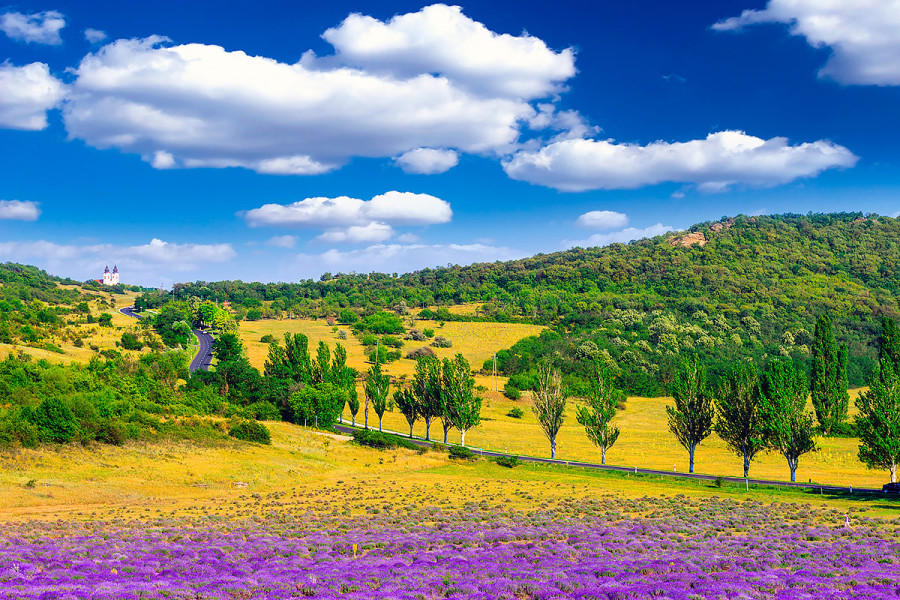 Фоторепортаж: Венгрия - страна с древней историей и с замечательной природой - свежие новости на Toplenta по теме Обит