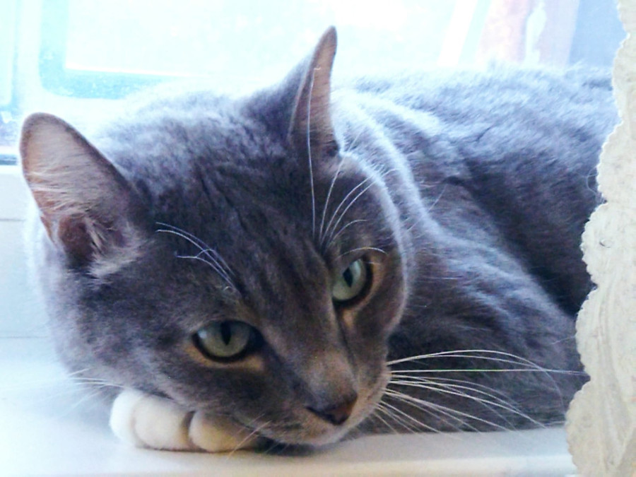 Тёма в раздумьях о превратностях судьбы - свежие новости на Toplenta по теме Среда