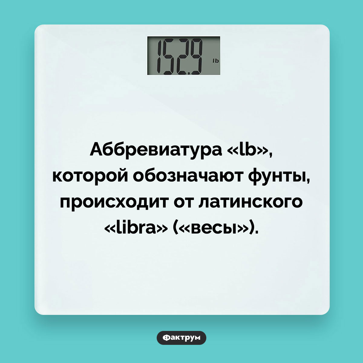 В некоторых странах фунты обозначают аббревиатурой «lb» - свежие новости на Toplenta по теме Факт