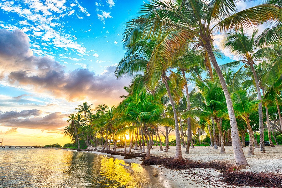 Фоторепортаж: Гваделупа - небольшой кусочек настоящей Франции в Вест-Индии - свежие новости на Toplenta по теме Обит