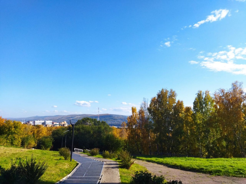 Прогулка в лесу возле СФУ в Красноярске солнечным осенним днём - свежие новости на Toplenta по теме #осень