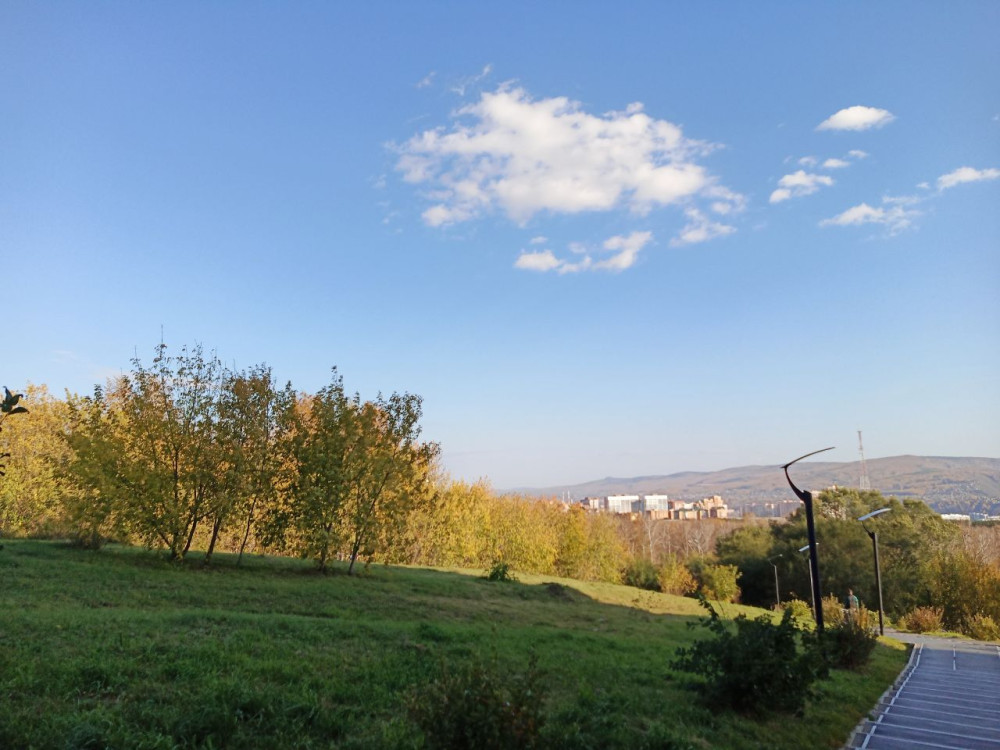 Прогулка по Берёзовой роще возле СФУ солнечным осенним днём - свежие новости на Toplenta по теме #осень