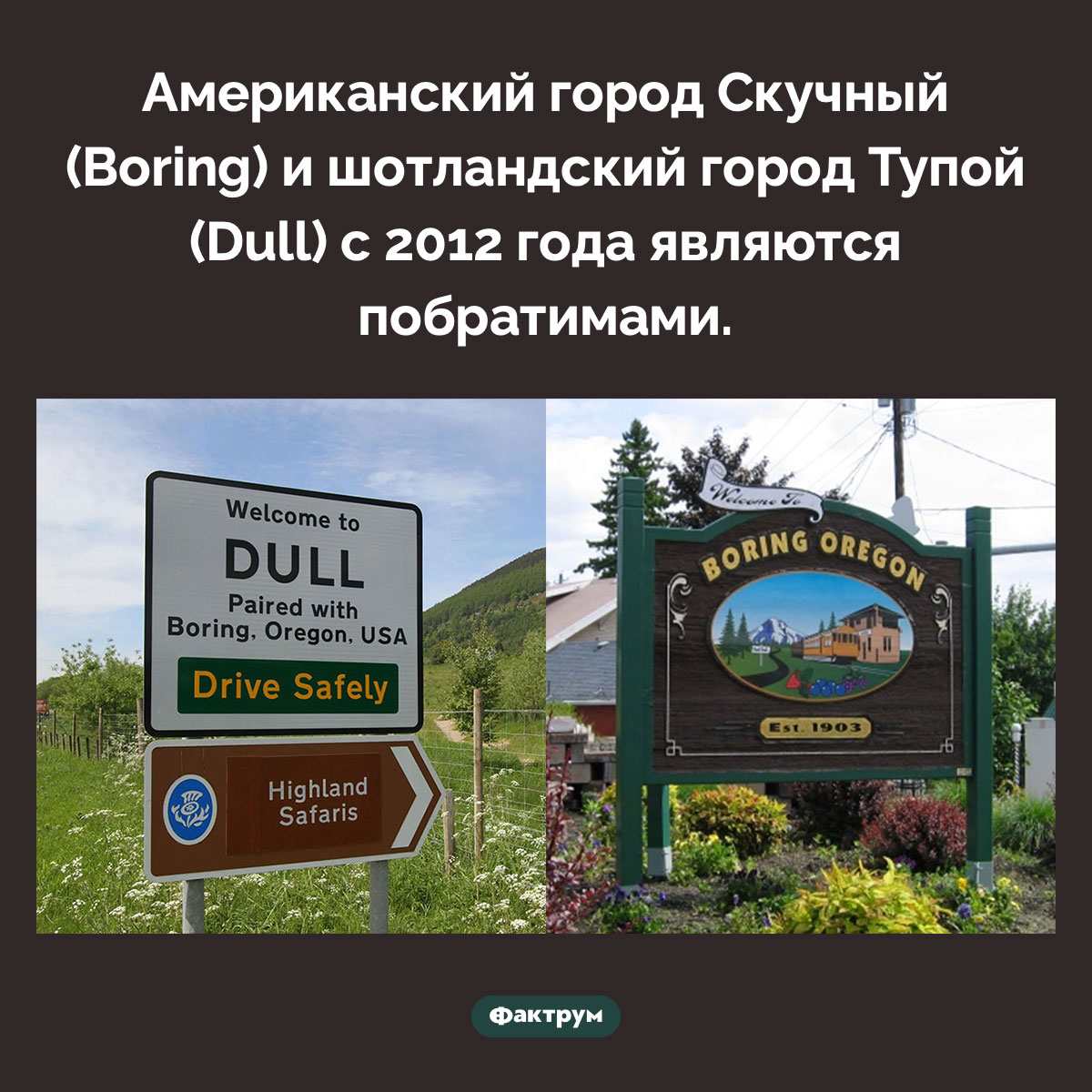 Скучный и Тупой — города-побратимы - свежие новости на Toplenta по теме названия