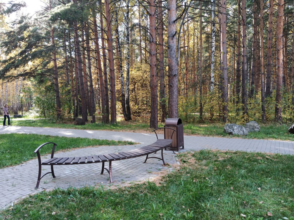 Прогулка по лесу близ СФУ с белкой - свежие новости на Toplenta по теме #осень