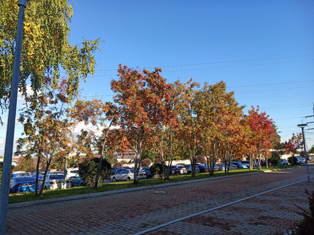 Прогулка возле СФУ в Красноярске солнечным осенним днём - похожая новость на Toplenta