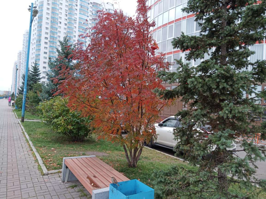 Прогулка по набережной имени Ивана Ярыгина пасмурным осенним днём - свежие новости на Toplenta по теме #осень