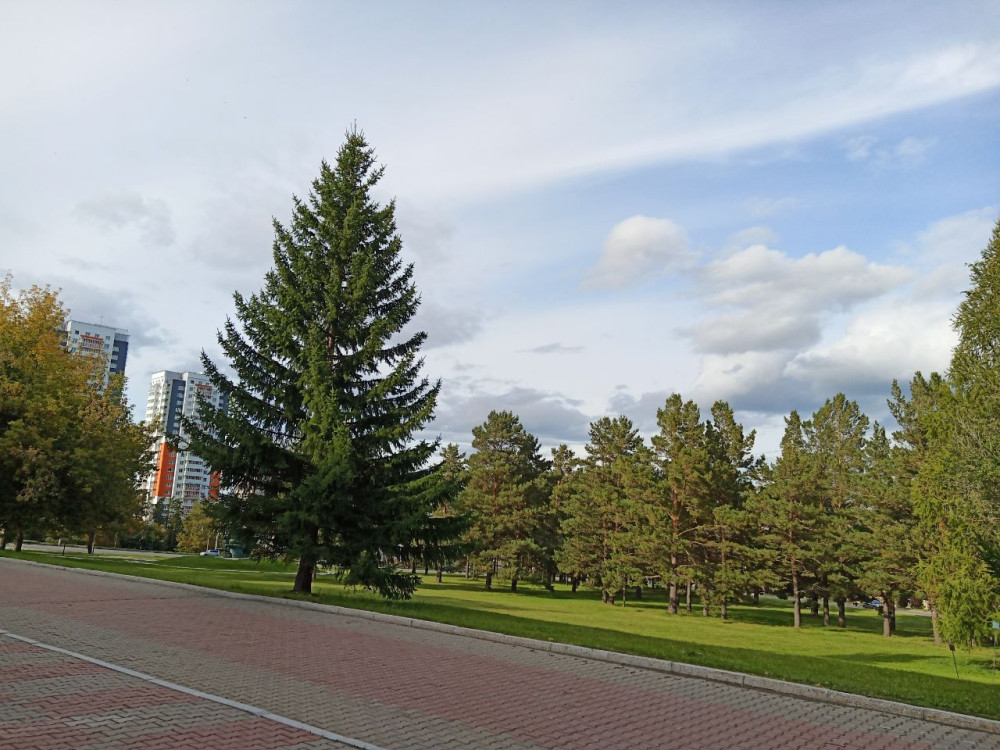 Прогулка возле СФУ в Красноярске ранней осенью - свежие новости на Toplenta по теме #осень