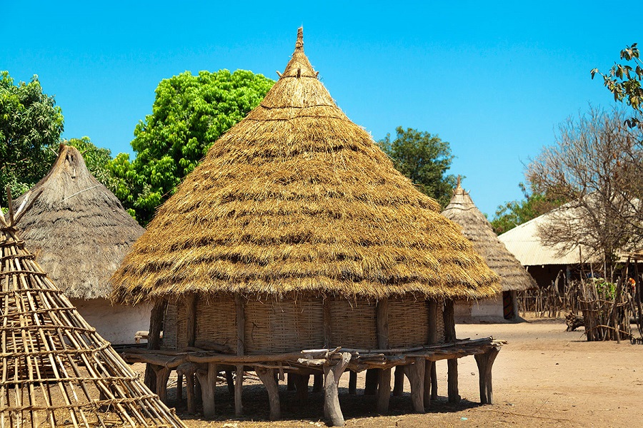 Фоторепортаж: Гвинея-Бисау - миниатюрная западноафриканская страна с нетронутой природой - свежие новости на Toplenta по теме Обит