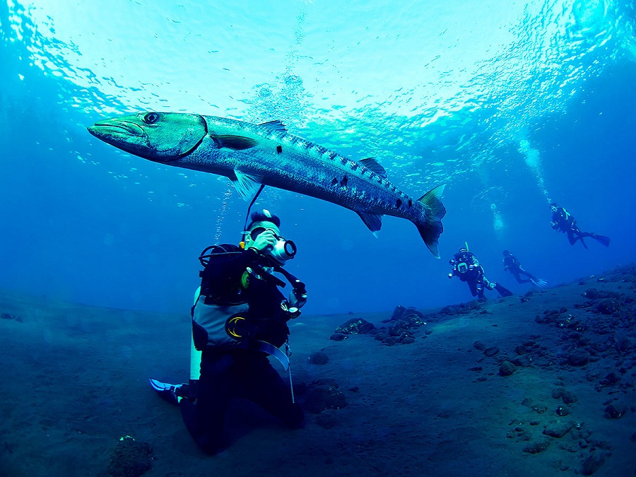 Фоторепортаж: Гуам - идеальный остров для серфингистов и дайверов - свежие новости на Toplenta по теме Обит