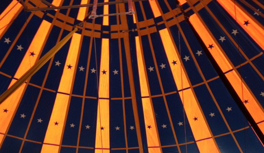 Российские и венгерские цирковые школы объединяют усилия - свежие новости на Toplenta по теме Современного