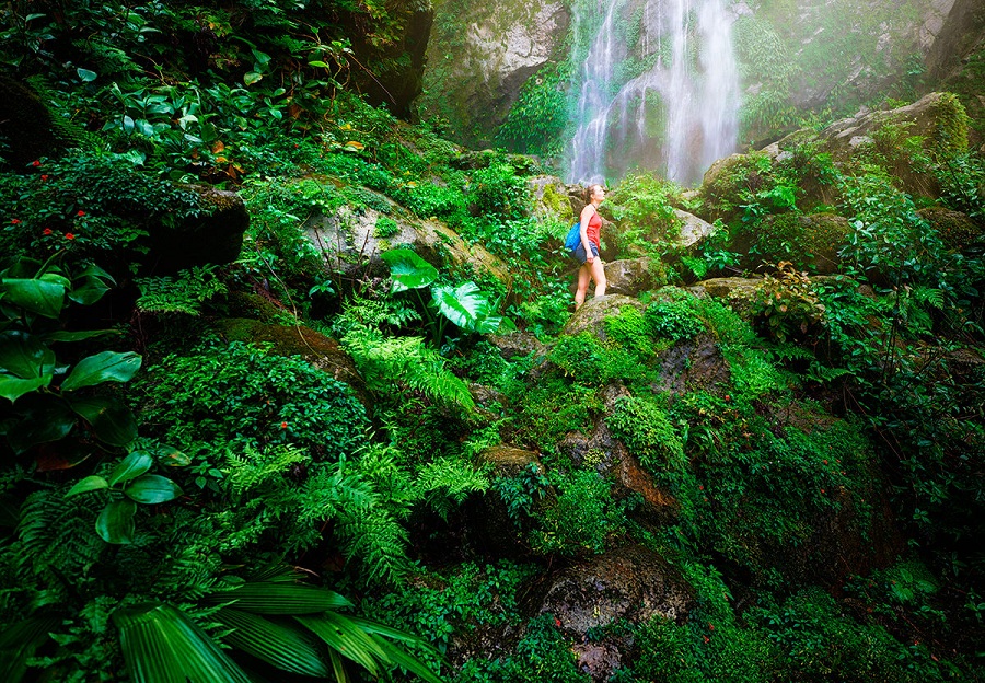 Фоторепортаж: Гондурас - небольшая страна, омываемая двумя океанами - свежие новости на Toplenta по теме Обит
