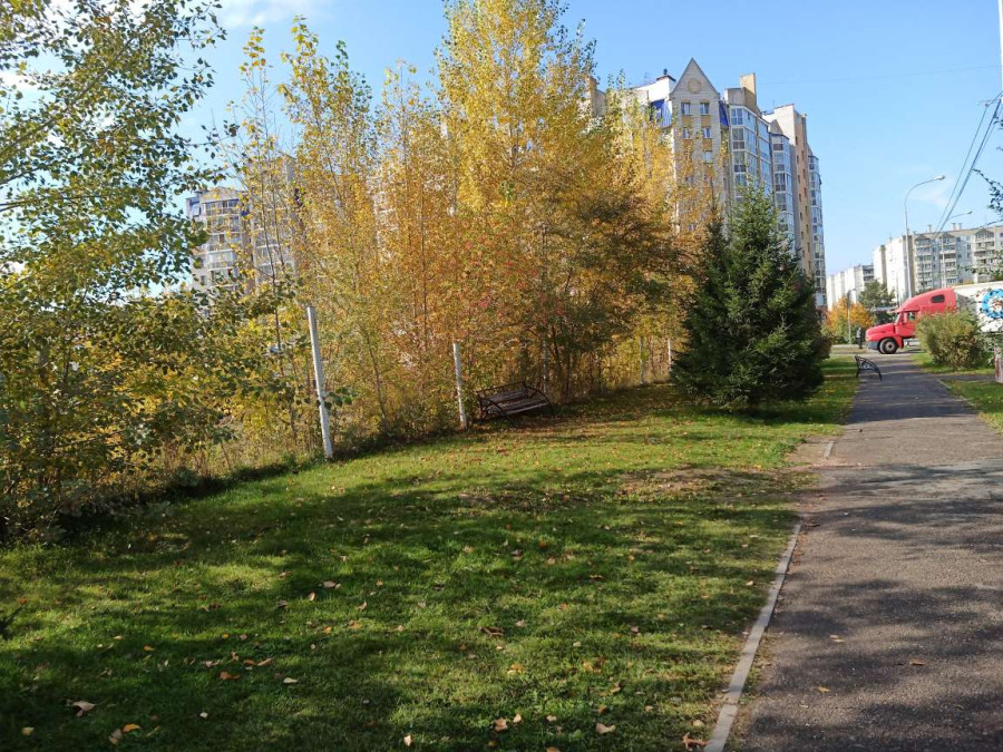 Поздней осенью на красноярской улице - свежие новости на Toplenta по теме Среда