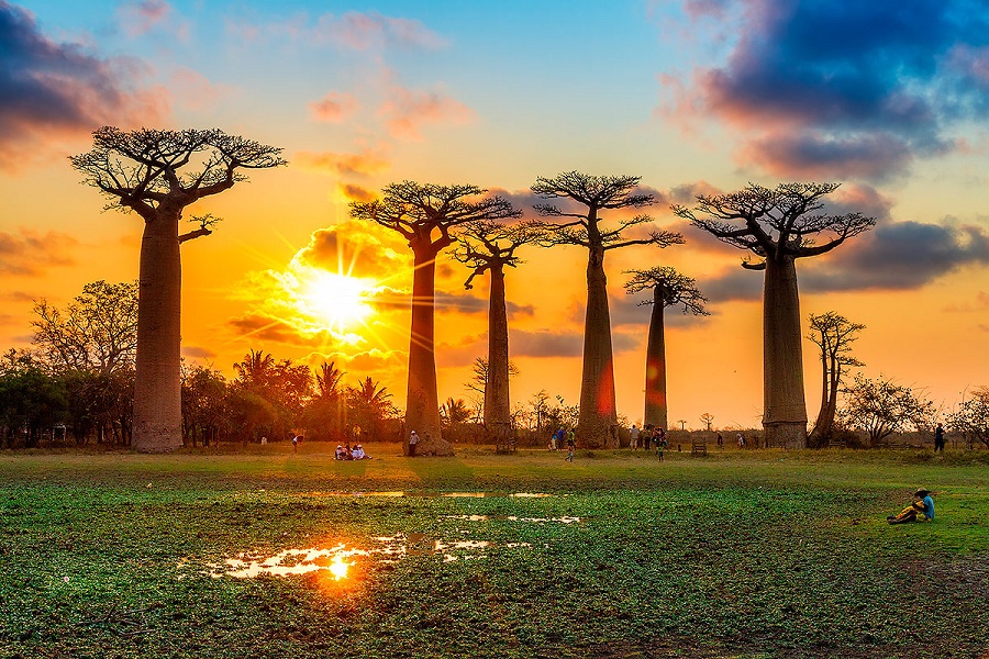 Фоторепортаж: Мадагаскар - и государство, и знаменитый по мультфильмам остров в Индийском океане - свежие новости на Toplenta по теме ств
