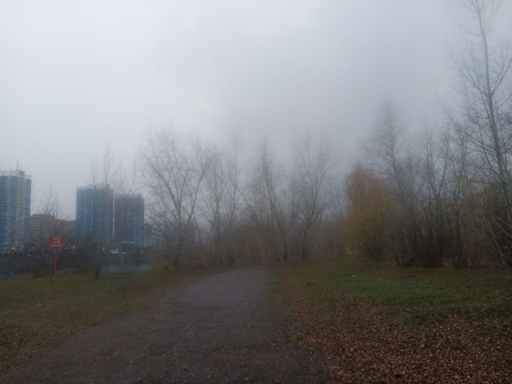 Утренний осенний туман над островом Отдыха - свежие новости на Toplenta