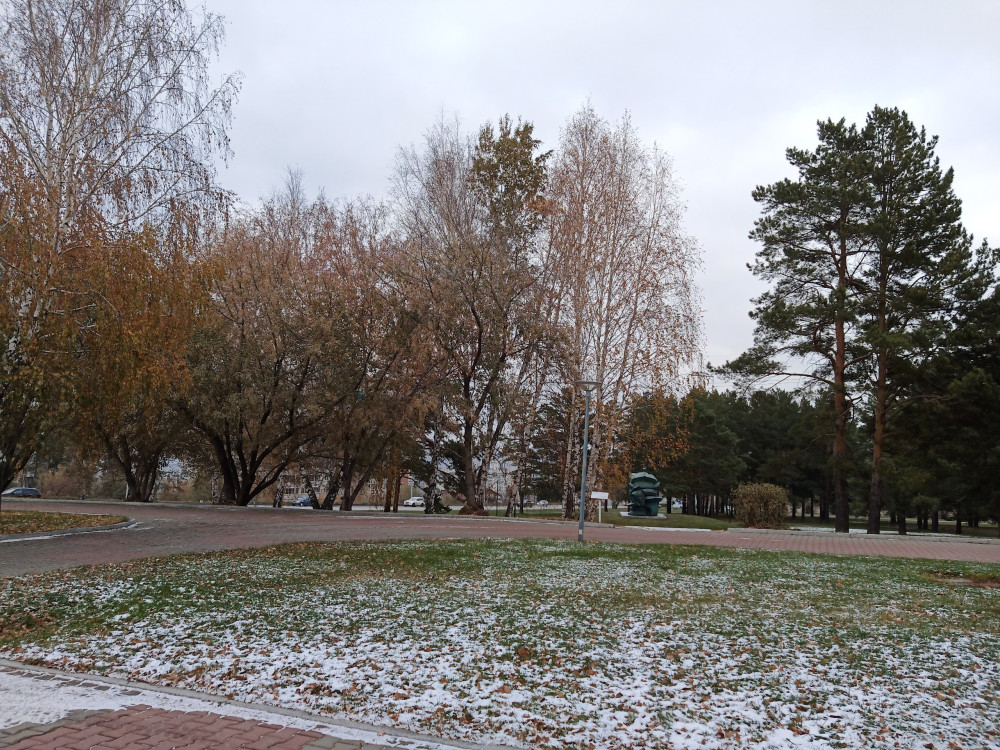Прогулка возле СФУ холодным осенним днём - свежие новости на Toplenta по теме Среда