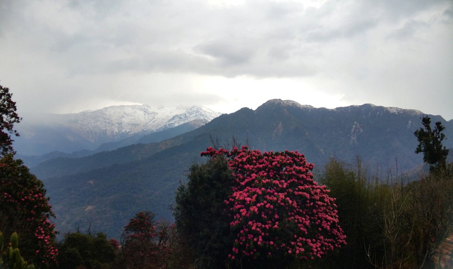 Фоторепортаж: Непал - страна таинственная, суровая и привлекающая туристов со всего света - свежие новости на Toplenta по теме ств