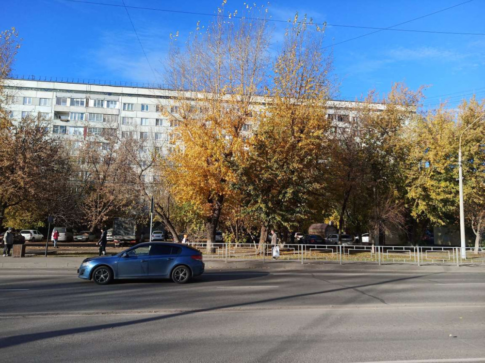 Сбор листьев в Красноярске продолжается - свежие новости на Toplenta по теме #осень