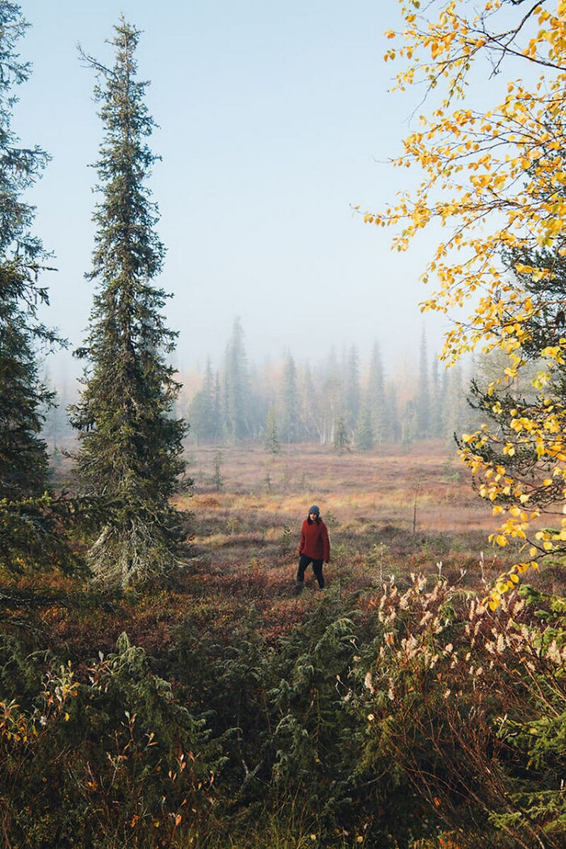 Доказательства, что осень ― особая пора: осенняя Скандинавия от финского фотографа - свежие новости на Toplenta по теме iv