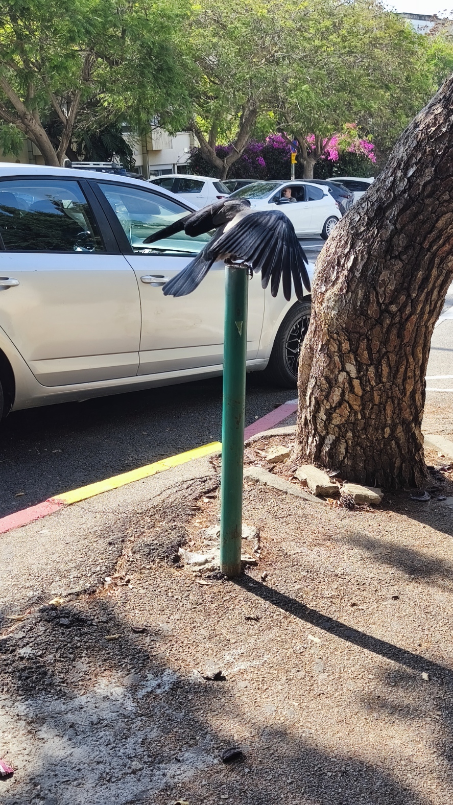 2025. Краткая хроника поездки или как я провёл три дня. Часть 1 - свежие новости на Toplenta по теме Израиле