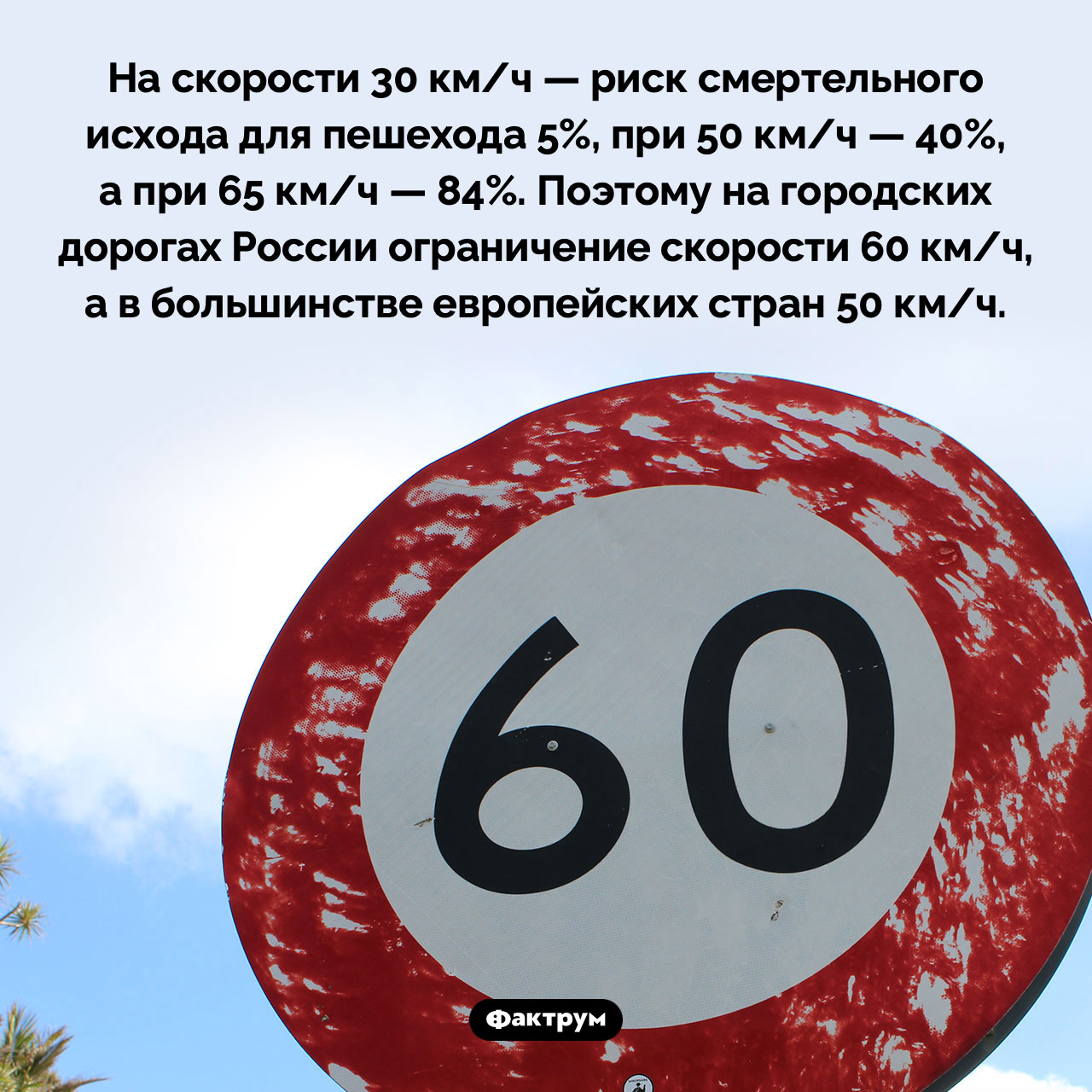 Ограничение скорости в городе - свежие новости на Toplenta