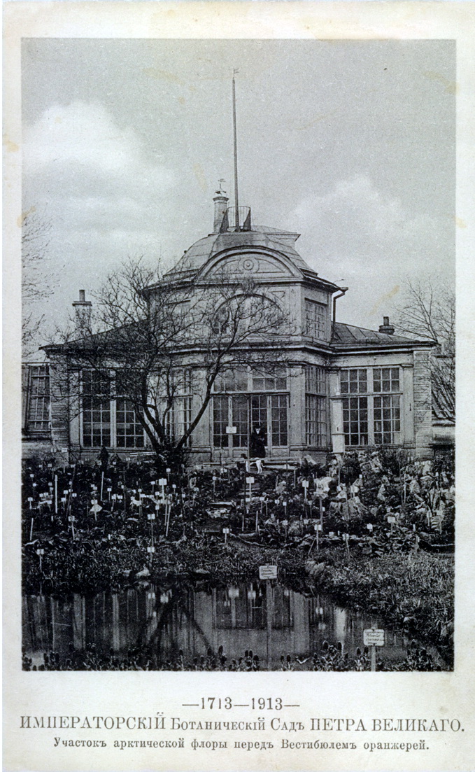 1913. Императорский Ботанический сад Петра Великого - свежие новости на Toplenta по теме город санкт-петербург