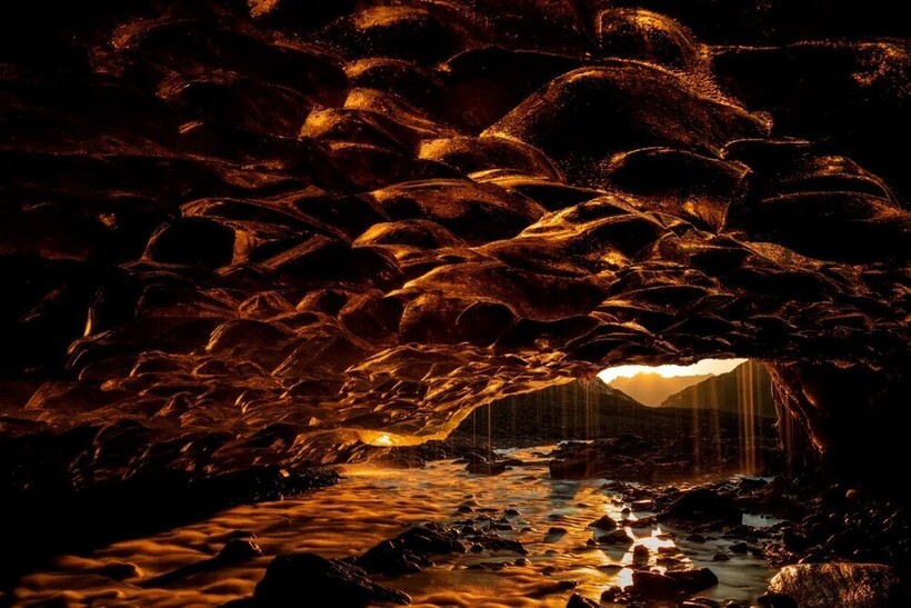 12 моментов из жизни дикой природы премии European Wildlife Photographer of the Year - похожая новость на Toplenta