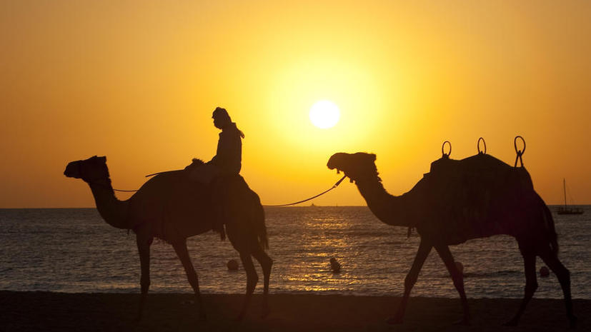 10 интересных фактов о Ближнем Востоке - свежие новости на Toplenta