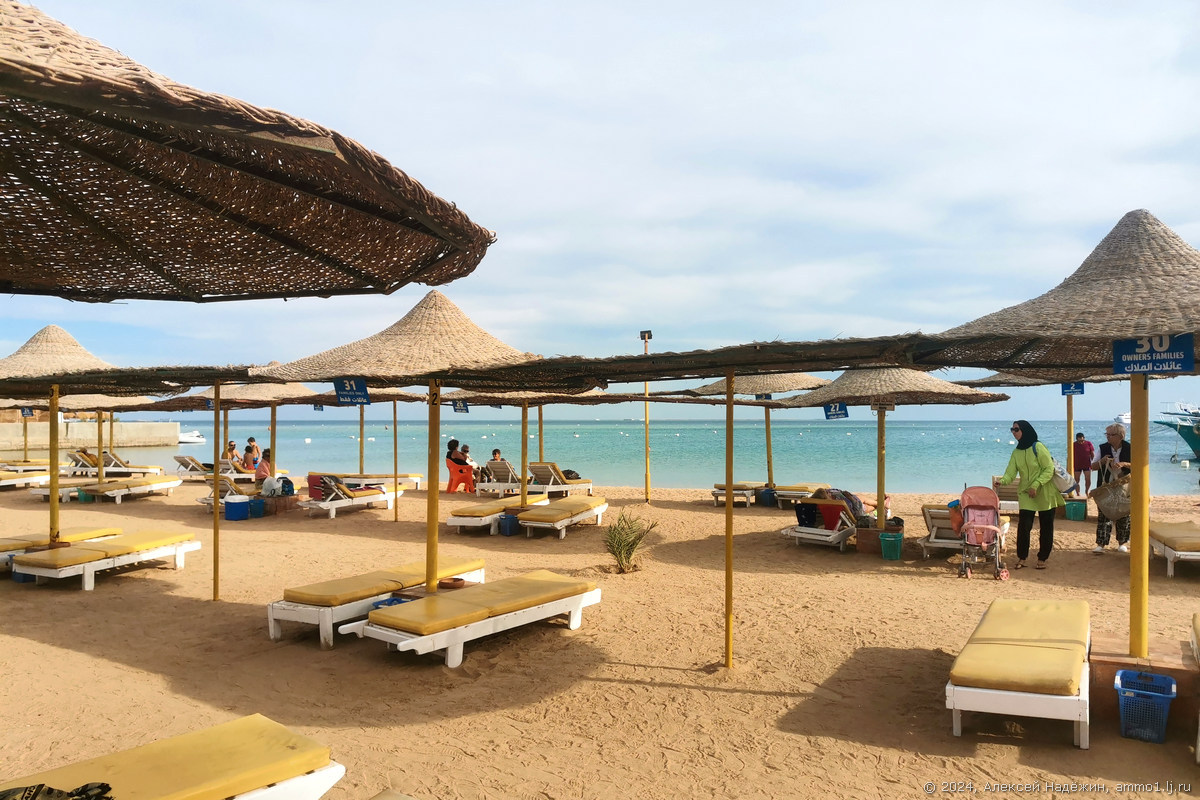 Как отдохнуть в Хургаде без тура — пошаговая инструкция. Часть 7: информация и FAQ - свежие новости на Toplenta