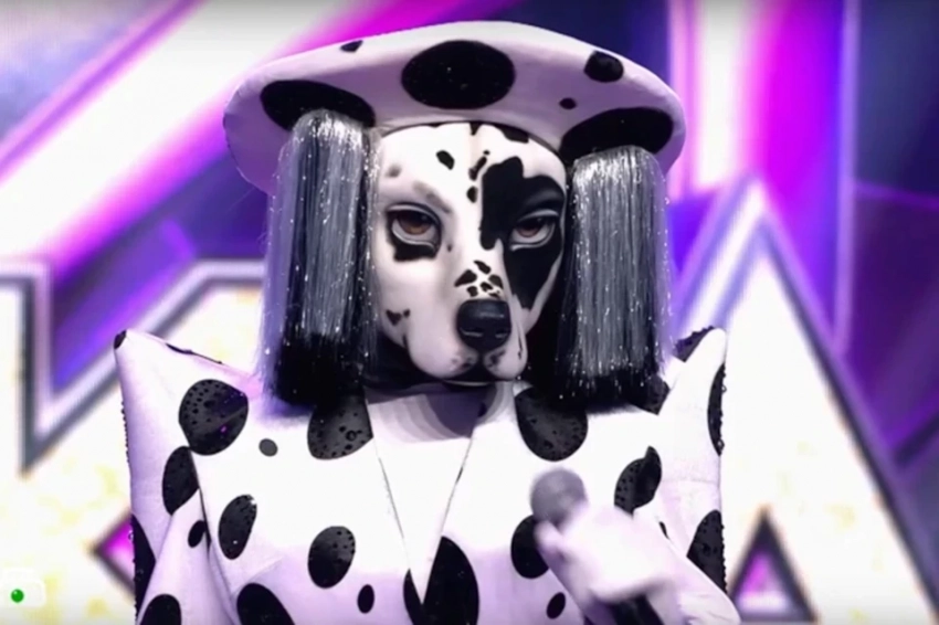 Леди Гага поделилась в соцсетях выступлением Далматина из российского шоу «Маска» - свежие новости на Toplenta по теме Малый бизнес