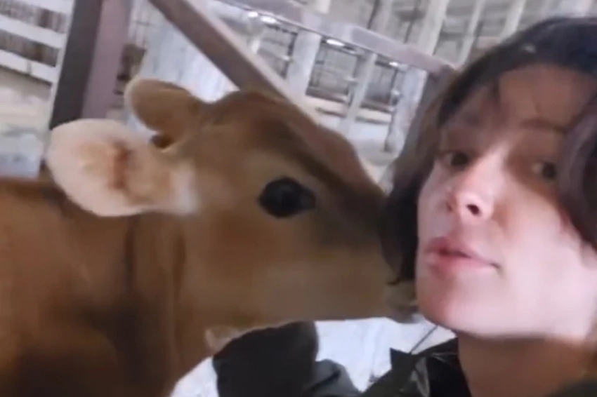 Как живет звезда скандальной вечеринки Ивлеева: забросила бизнес и променяла Lamborghini на трактор - свежие новости на Toplenta по теме Малый бизнес