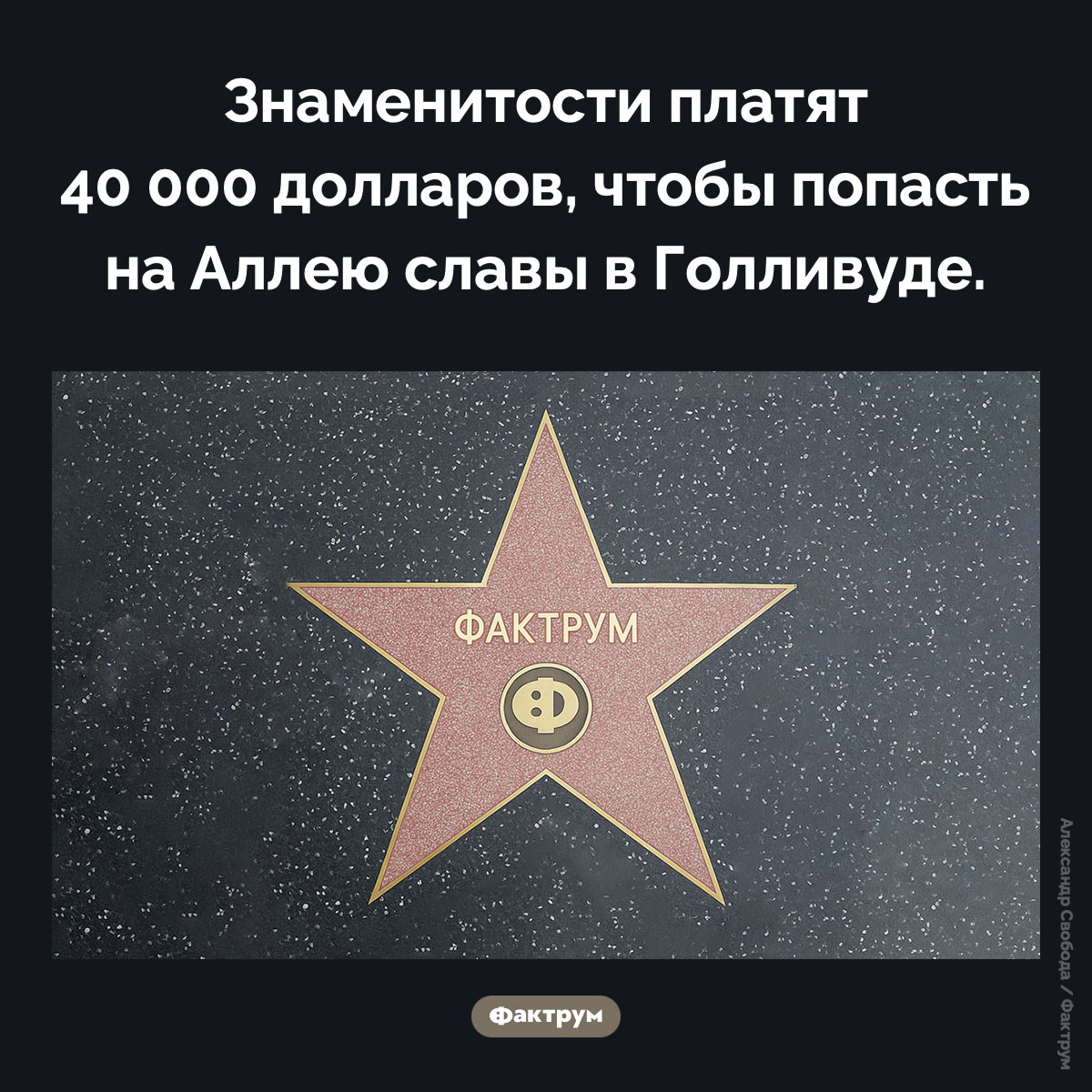 Звезда на голливудской Алее славы — это платная услуга - свежие новости на Toplenta по теме голливуд