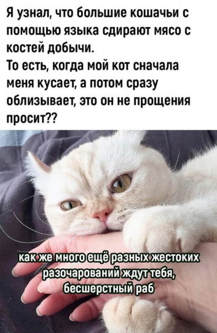Чтобы петь караоке, слух не нужен. Нужны хорошее зрение, отсутствие совести и розетка - свежие новости на Toplenta
