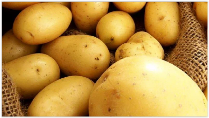 Выращиваю дома картошку круглый год без земли - делюсь секретами - свежие новости на Toplenta