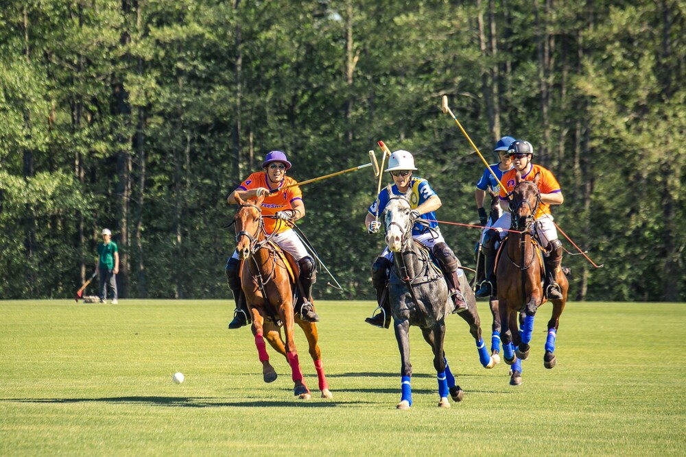 Члены Forbes Club посетили открытие летнего сезона поло - свежие новости на Toplenta по теме Orb