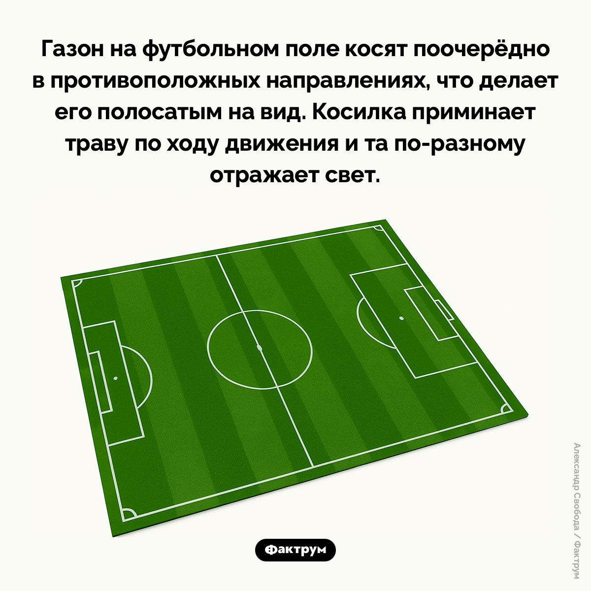 Почему газон на футбольных полях полосатый - свежие новости на Toplenta по теме Факты в картинках