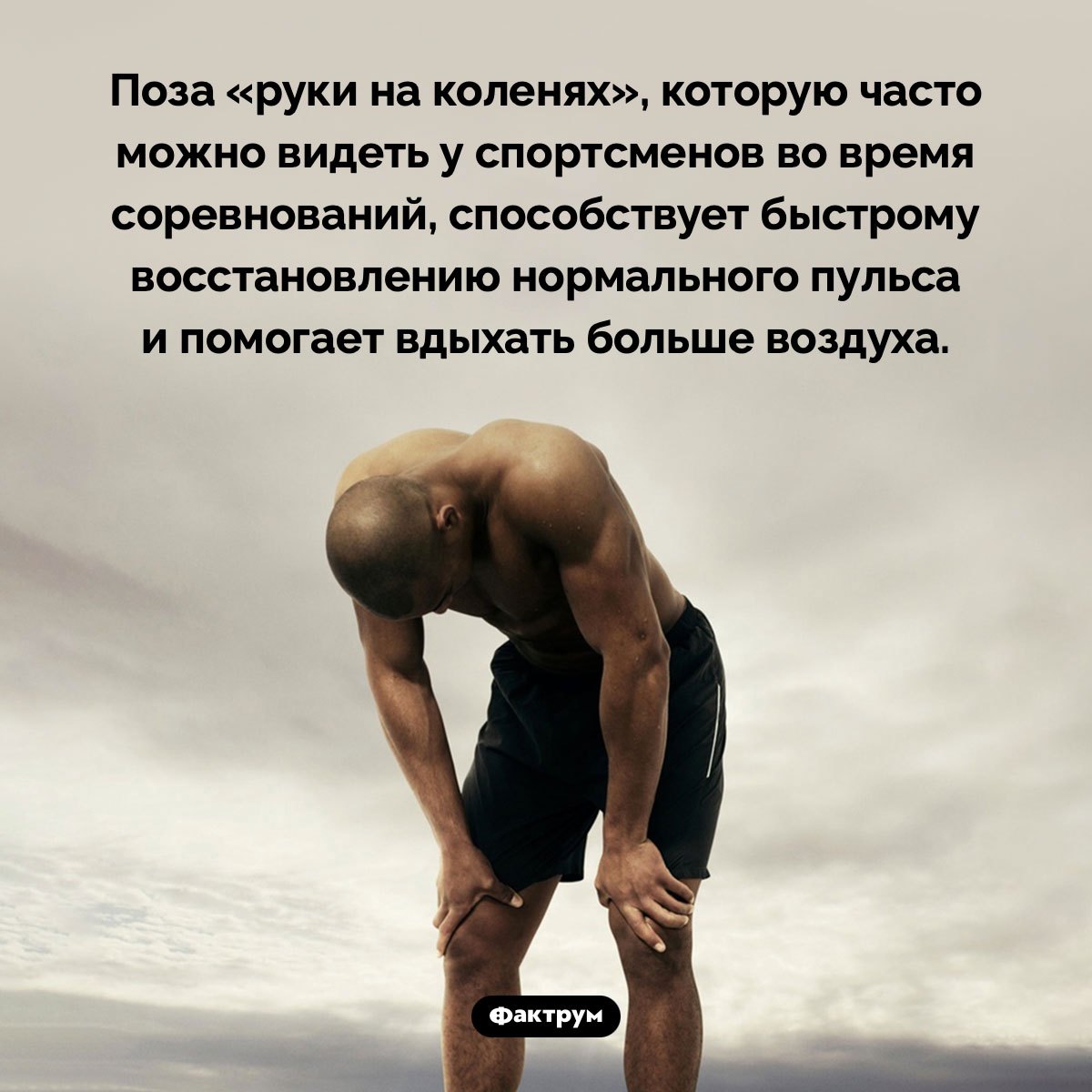 Зачем спортсмены стоят, уперев руки в колени - свежие новости на Toplenta по теме Факты в картинках