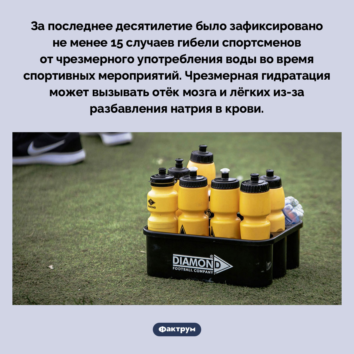Иногда спортсмены погибают от чрезмерного питья воды во время соревнований - свежие новости на Toplenta по теме Факт