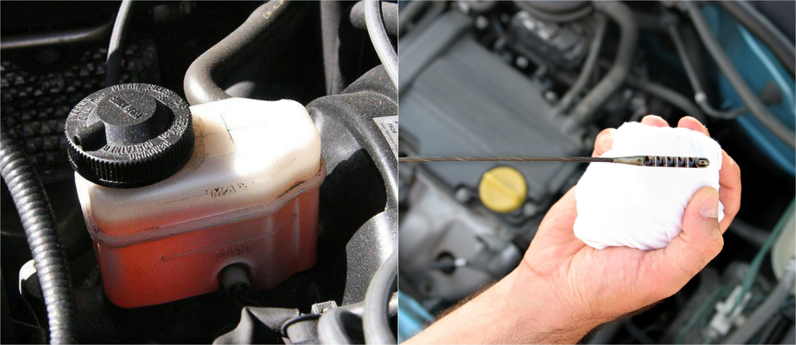 Что проверить перед покупкой автомобиля с пробегом: 6 ключевых пунктов, чтобы не пожалеть - свежие новости на Toplenta по теме Омо