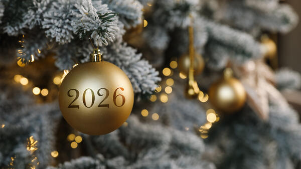 Как не ошибиться с нарядом на Новый 2026 год: какие цвета исключить из образа - похожая новость на Toplenta