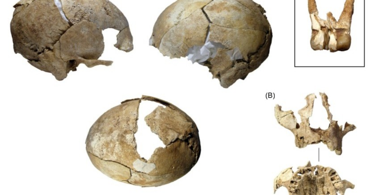 Римляне больше 2000 лет назад выставили на всеобщее обозрение отрубленную мужскую голову - свежие новости на Toplenta по теме и