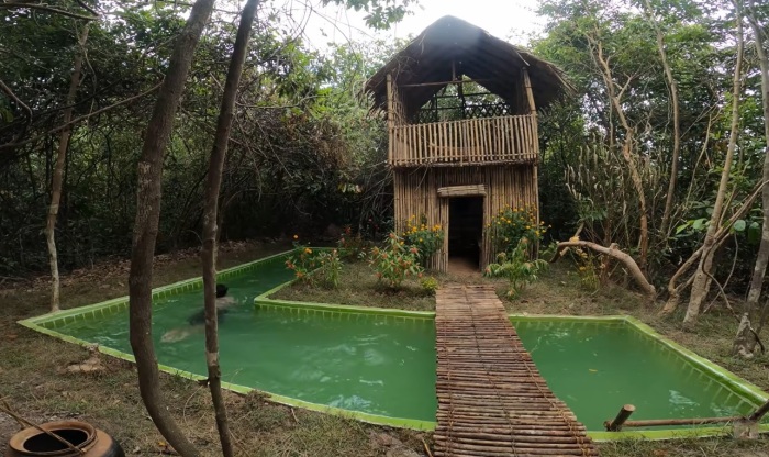 Девушка построила домик и бассейн вокруг, используя лишь примитивный инструмент - свежие новости на Toplenta по теме Рафаэль социальный