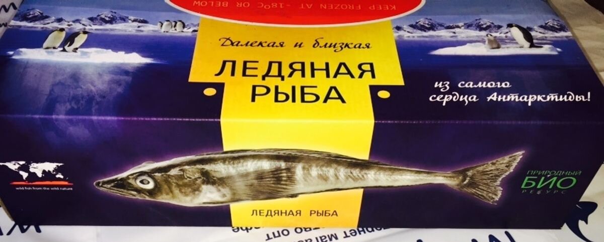 Эта рыба при СССР стоила меньше рубля... - свежие новости на Toplenta по теме Размышления